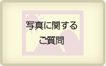 写真に関するご質問