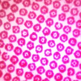 high-definition-printing-3