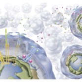 thumb-medical_illustration